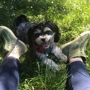 Hey, Poshers! Thanks for checking out my Closet!